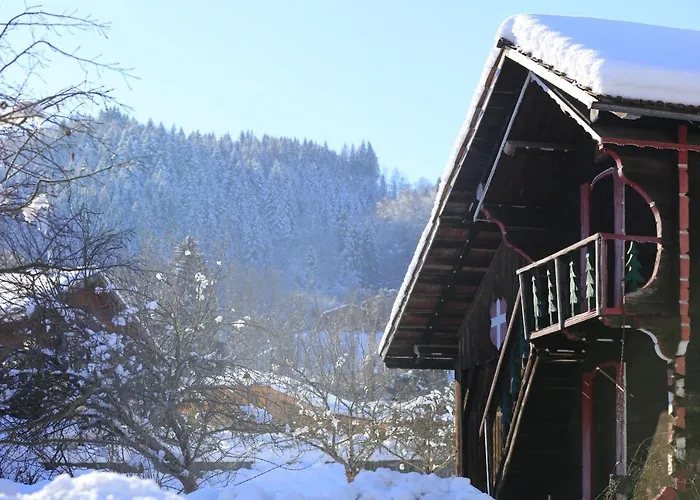 Grand Morillon- C215 Appt Vue Piste-4 Pers