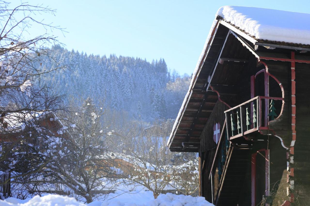 Grand Morillon- C215 Appt Vue Piste-4 Pers Appartement