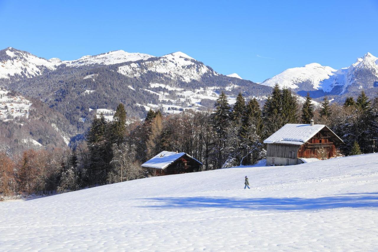 Grand Morillon- C215 Appt Vue Piste-4 Pers Morillon